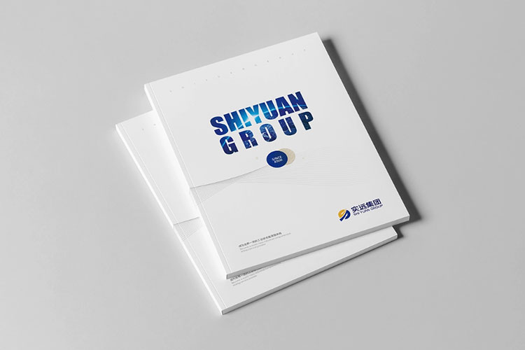 集團(tuán)畫冊(cè)設(shè)計(jì)